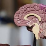 Alaska Brain Injury Malpractice